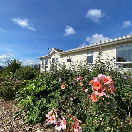 East Kitcham Lodge Launceston Eksteriør bilde